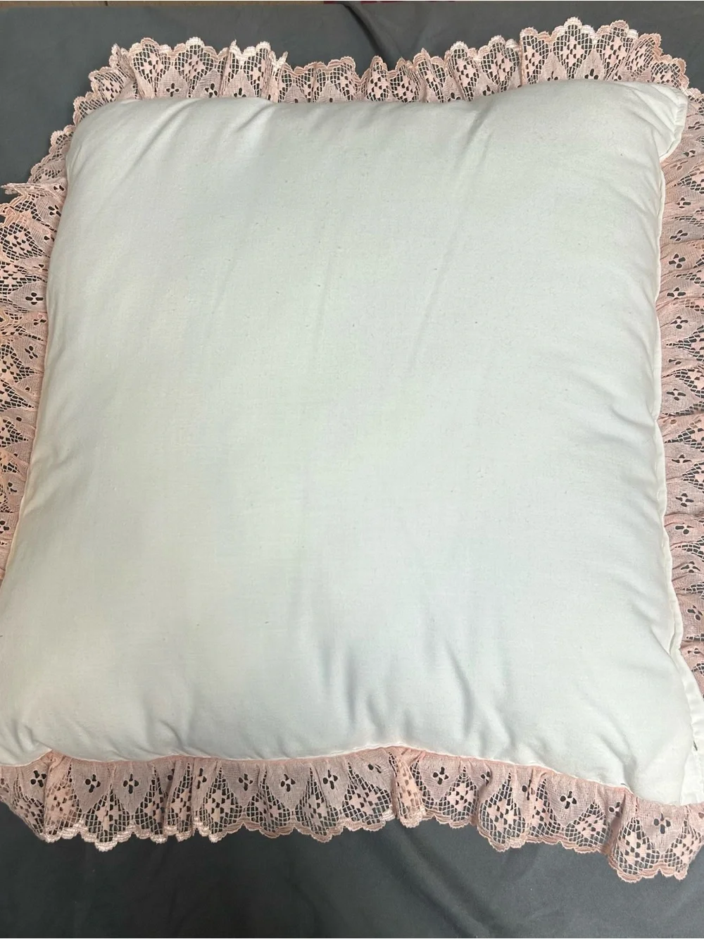 Vintage French Country Pillow Embroidered Rose Lace Trim Cottagecore 80s/90s